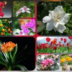 Dịch vụ giải thể công ty tại Bình Dương – Nhanh chóng, Uy tín, Trọn gói 6 Muốn dịch vụ giải thể doanh nghiệp tại Bình Dương – 3.000.000