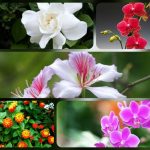 Dịch vụ giải thể công ty uy tín tại Bình Phước – Trọn gói, nhanh chóng, giá rẻ 6 Muốn dịch vụ giải thể doanh nghiệp tại Bình Phước – 3.000.000