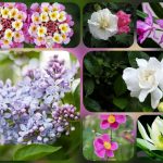 Dịch vụ giải thể công ty tại Bình Thuận - 3.000.000 6 Muốn dịch vụ giải thể doanh nghiệp tại Bình Thuận – 3.000.000