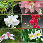 Dịch vụ giải thể công ty tại Điện Biên - 3.000.000 6 Muốn dịch vụ giải thể doanh nghiệp tại Điện Biên – 3.000.000