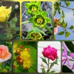Dịch vụ giải thể công ty tại Thành phố Sông Công – 3.000.000 trọn gói, nhanh gọn 8 Muốn dịch vụ giải thể doanh nghiệp tại Thành phố Sông Công – 3.000.000