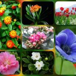 Dịch vụ giải thể công ty tại Gia Lai – Nhanh chóng & Trọn gói 8 Muốn dịch vụ giải thể doanh nghiệp tại Gia Lai – 3.000.000