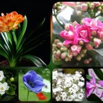 DỊCH VỤ GIẢI THỂ CÔNG TY TẠI HÀ NAM – 3.000.000 TRỌN GÓI NHANH GỌN 8 Muốn dịch vụ giải thể doanh nghiệp tại Hà Nam – 3.000.000