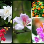 Muốn dịch vụ giải thể doanh nghiệp tại Hải Phòng – 3.000.000