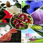 Dịch vụ giải thể công ty tại Hưng Yên - 3.000.000 8 Muốn dịch vụ giải thể doanh nghiệp tại Hưng Yên – 3.000.000