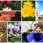 Dịch vụ giải thể công ty tại Huyện An Dương– 3.000.000 6 Muốn dịch vụ giải thể doanh nghiệp tại Huyện An Dương – 3.000.000