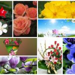 Dịch vụ giải thể công ty tại Huyện An Lão– 3.000.000 6 Muốn dịch vụ giải thể doanh nghiệp tại Huyện An Lão – 3.000.000