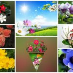 Dịch vụ giải thể công ty tại Huyện đảo Bạch Long Vĩ - 3.000.000 6 Muốn dịch vụ giải thể doanh nghiệp tại Huyện đảo Bạch Long Vĩ – 3.000.000