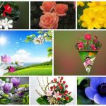 Dịch vụ giải thể công ty tại Huyện đảo Cát Hải - 3.000.000 6 Muốn dịch vụ giải thể doanh nghiệp tại Huyện đảo Cát Hải – 3.000.000