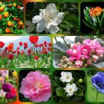 Dịch vụ giải thể công ty tại Huyện Hoàng Sa - 3.000.000 6 Muốn dịch vụ giải thể doanh nghiệp tại Huyện Hoàng Sa – 3.000.000