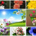 Dịch vụ giải thể công ty tại Huyện Thủy Nguyên– 3.000.000 6 Muốn dịch vụ giải thể doanh nghiệp tại Huyện Thủy Nguyên – 3.000.000