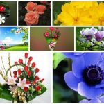 Dịch vụ giải thể công ty tại Huyện Vĩnh Bảo– 3.000.000 6 Muốn dịch vụ giải thể doanh nghiệp tại Huyện Vĩnh Bảo – 3.000.000