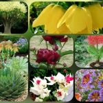 Dịch vụ giải thể công ty tại Khánh Hòa 8 Muốn dịch vụ giải thể doanh nghiệp tại Khánh Hòa – 3.000.000