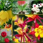 Dịch vụ giải thể công ty tại Kon Tum - 3.000.000 6 Muốn dịch vụ giải thể doanh nghiệp tại Kon Tum – 3.000.000