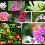 Dịch vụ giải thể công ty tại Long An– 3.000.000 6 Muốn dịch vụ giải thể doanh nghiệp tại Long An – 3.000.000