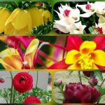 Dịch vụ giải thể công ty tại Ninh Bình - 3.000.000 6 Muốn dịch vụ giải thể doanh nghiệp tại Ninh Bình – 3.000.000