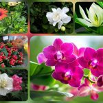 Dịch vụ giải thể công ty tại Quận Đồ Sơn– 3.000.000 6 Muốn dịch vụ giải thể doanh nghiệp tại Quận Đồ Sơn – 3.000.000