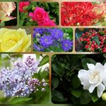 Dịch vụ giải thể công ty tại Quận Dương Kinh - 3.000.000 6 Muốn dịch vụ giải thể doanh nghiệp tại Quận Dương Kinh – 3.000.000