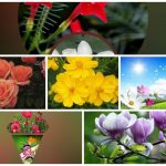 Dịch vụ giải thể công ty tại Quận Hồng Bàng– 3.000.000 6 Muốn dịch vụ giải thể doanh nghiệp tại Quận Hồng Bàng – 3.000.000