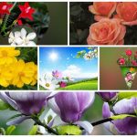Dịch vụ giải thể công ty tại Quận Kiến An– 3.000.000 6 Muốn dịch vụ giải thể doanh nghiệp tại Quận Kiến An – 3.000.000