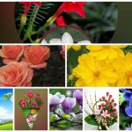 Dịch vụ giải thể công ty tại Quận Lê Chân– 3.000.000 6 Muốn dịch vụ giải thể doanh nghiệp tại Quận Lê Chân – 3.000.000