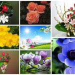 Dịch vụ giải thể công ty tại Quận Ngô Quyền– 3.000.000 6 Muốn dịch vụ giải thể doanh nghiệp tại Quận Ngô Quyền – 3.000.000