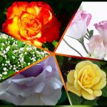 Dịch vụ giải thể công ty tại Quảng Ngãi | Trọn gói, nhanh chóng, uy tín 8 Muốn dịch vụ giải thể doanh nghiệp tại Quảng Ngãi – 3.000.000