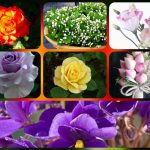 Dịch vụ giải thể công ty tại Quảng Trị– 3.000.000 6 Muốn dịch vụ giải thể doanh nghiệp tại Quảng Trị – 3.000.000