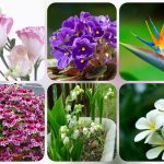 Muốn dịch vụ giải thể doanh nghiệp tại Sơn La – 3.000.000
