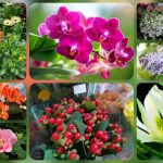 Dịch vụ giải thể công ty tại Thừa Thiên Huế - 3.000.000 6 Muốn dịch vụ giải thể doanh nghiệp tại Thừa Thiên Huế – 3.000.000