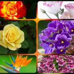 Dịch vụ giải thể công ty tại Trà Vinh - 3.000.000 6 Muốn dịch vụ giải thể doanh nghiệp tại Trà Vinh – 3.000.000