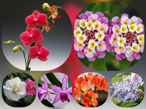 Dịch vụ giải thể công ty tại Vĩnh Long – Hỗ trợ nhanh, trọn gói, đúng pháp luật 4 Dịch vụ giải thể công ty tại Vĩnh Long– 3.000.000