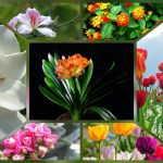 Dịch vụ giải thể công ty tại Vĩnh Phúc - 3.000.000 6 Muốn dịch vụ giải thể doanh nghiệp tại Vĩnh Phúc – 3.000.000