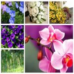 Dịch vụ thành lập doanh nghiệp ở Bình Định 6 Muốn thành lập doanh nghiệp ở Bình Định