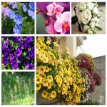 Muốn thành lập doanh nghiệp ở Bình Phước