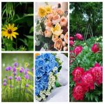 Dịch vụ thành lập doanh nghiệp ở Huyện Củ Chi 6 Muốn thành lập doanh nghiệp ở Huyện Củ Chi