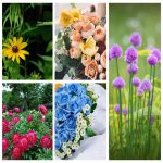 Dịch vụ thành lập doanh nghiệp ở Huyện Hóc Môn 6 Muốn thành lập doanh nghiệp ở Huyện Hóc Môn