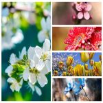 Dịch vụ thành lập doanh nghiệp ở Huyện Vĩnh Bảo 6 Muốn thành lập doanh nghiệp ở Huyện Vĩnh Bảo
