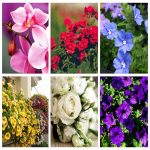 Dịch vụ thành lập doanh nghiệp ở Quận 12 6 Muốn thành lập doanh nghiệp ở Quận 12