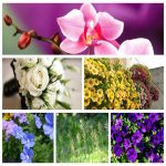 Dịch vụ thành lập doanh nghiệp ở Quận Hai Bà Trưng 6 Muốn thành lập doanh nghiệp ở Quận Hai Bà Trưng