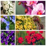 Dịch vụ thành lập doanh nghiệp ở Thành Phố Hồ Chí Minh 6 Muốn thành lập doanh nghiệp ở Thành Phố Hồ Chí Minh