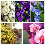 Dịch vụ thành lập doanh nghiệp ở TT Huế 6 Muốn thành lập doanh nghiệp ở TT Huế