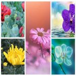 Mở hộ kinh doanh cầm đồ tại An Giang 3 Muốn mở hộ kinh doanh cầm đồ tại An Giang