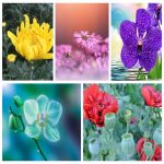 Mở hộ kinh doanh cầm đồ tại Bến Tre 3 Muốn mở hộ kinh doanh cầm đồ tại Bến Tre