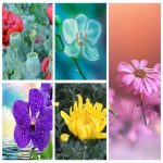 Mở hộ kinh doanh cầm đồ tại Đồng Tháp 6 Muốn mở hộ kinh doanh cầm đồ tại Đồng Tháp