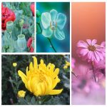 Mở hộ kinh doanh cầm đồ tại Huyện Thạch Oai 3 Muốn mở hộ kinh doanh cầm đồ tại Huyện Thạch Oai