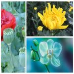 Mở hộ kinh doanh cầm đồ tại Quận 1 3 Muốn mở HKD cầm đồ tại Quận 1