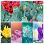 Mở hộ kinh doanh cầm đồ tại Quận 8 3 Muốn mở HKD cầm đồ tại Quận 8