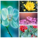 Mở hộ kinh doanh cầm đồ tại Quận Bình Thạnh 3 Muốn mở HKD cầm đồ tại Quận Bình Thạnh
