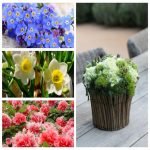 Mở hộ kinh doanh cầm đồ tại Thành phố Hải Phòng 6 Muốn mở hộ kinh doanh cầm đồ tại Thành phố Hải Phòng